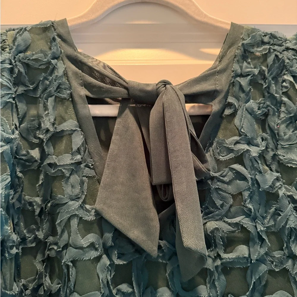Anthropologie Sarah Hann green blouse with tie back - size small - Picture 4 of 6